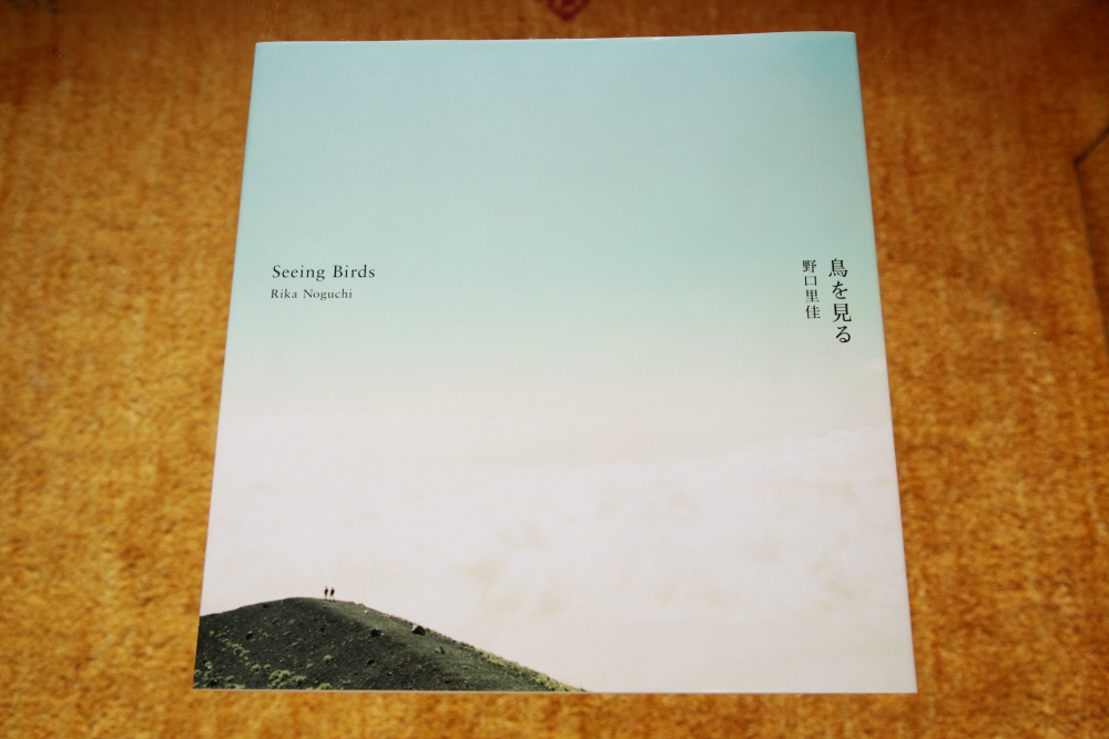 野口里佳 Rika Noguchi 「鳥を見る　Seeing Birds」_c0016177_1420467.jpg