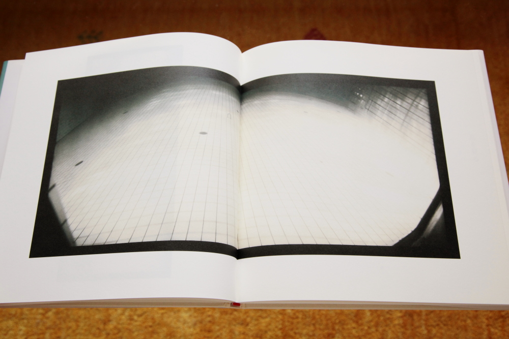 野口里佳 Rika Noguchi 「鳥を見る Seeing Birds