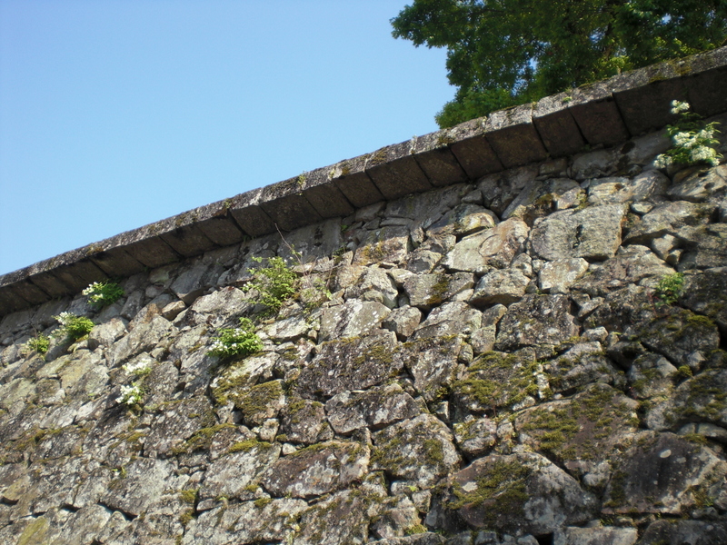 c0013687_7554761.jpg