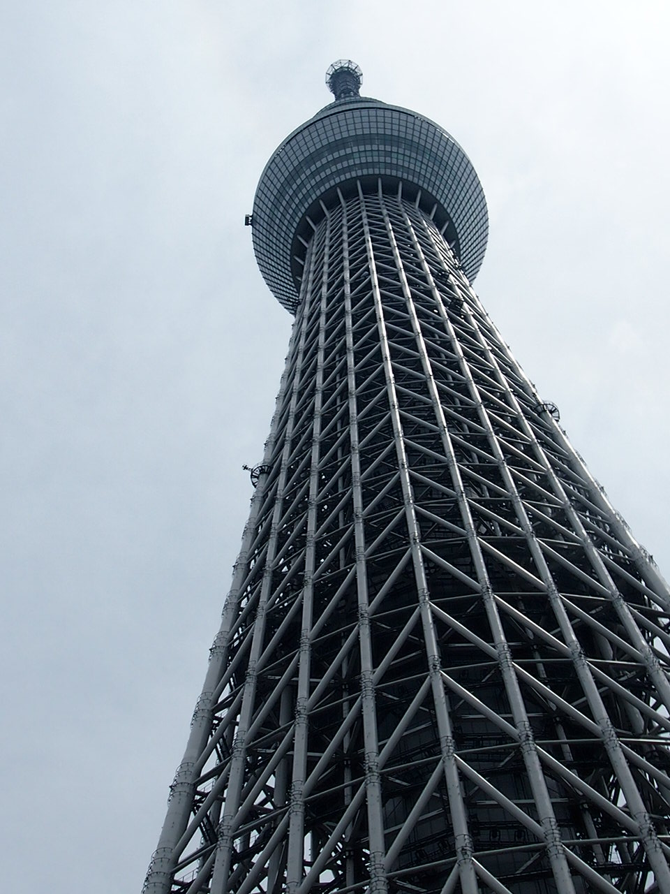昨日はスカイツリー 今日は神戸 ハチドリのブラジル サンパウロ 時々日本 日記
