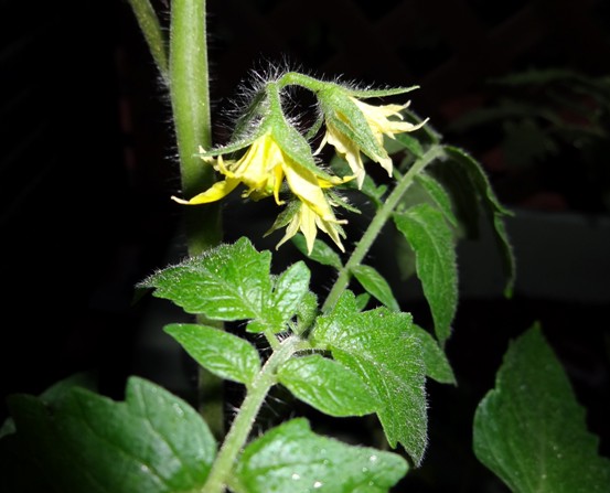 b0286989_1416147.jpg