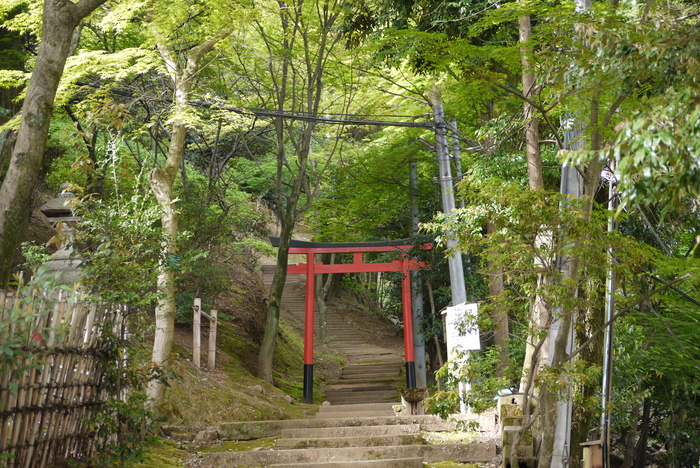 春の京都散策@ホテルの探鳥路 4/23_a0127090_22521330.jpg