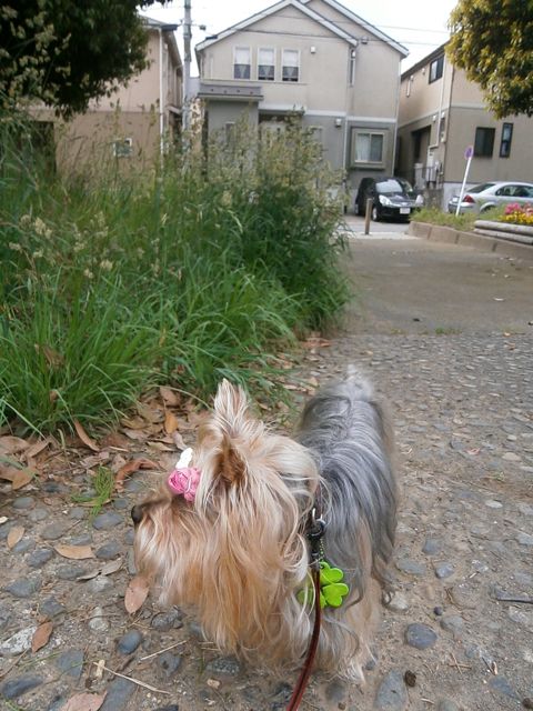 f0130894_21414397.jpg