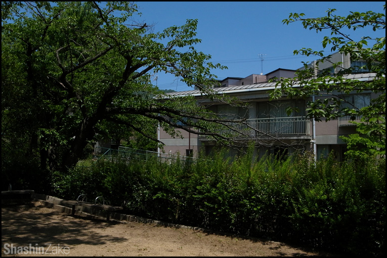 c0102003_17424486.jpg
