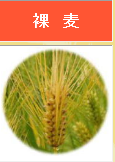 f0231709_2148926.png