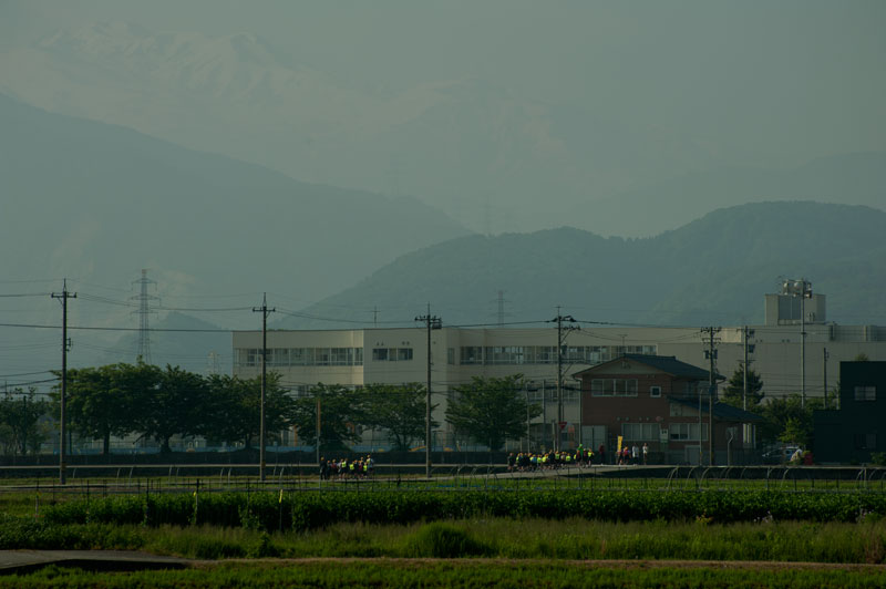 a0278914_138854.jpg