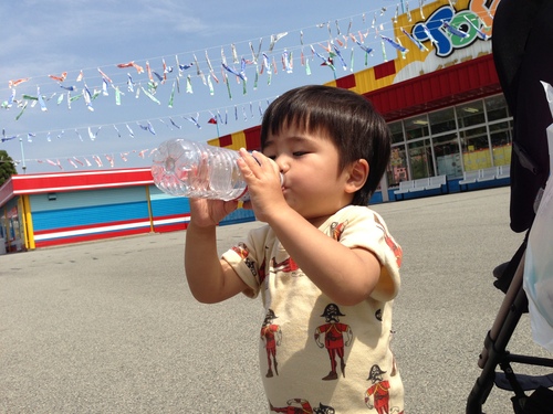 東条湖 おもちゃ王国 行って来ました!_a0164918_16483141.jpg