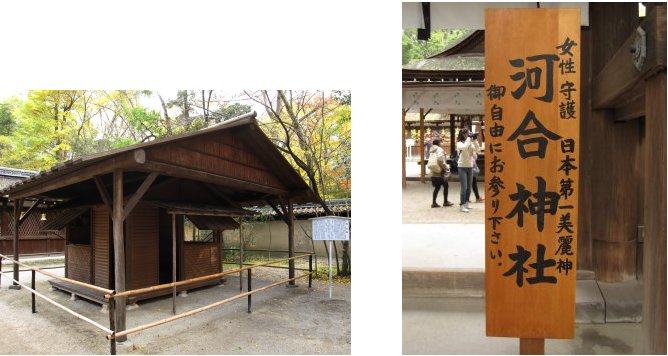 京都錦秋編(7)：河合神社(11.12)_c0051620_614770.jpg