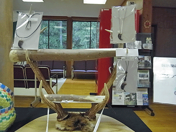f0232920_1556423.gif