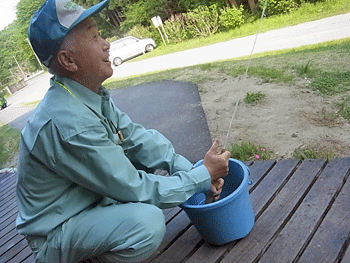 f0232920_1613942.gif