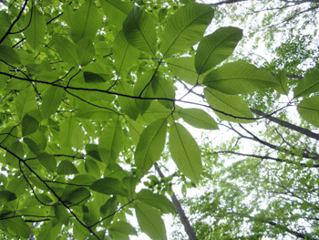 f0232920_16314787.gif