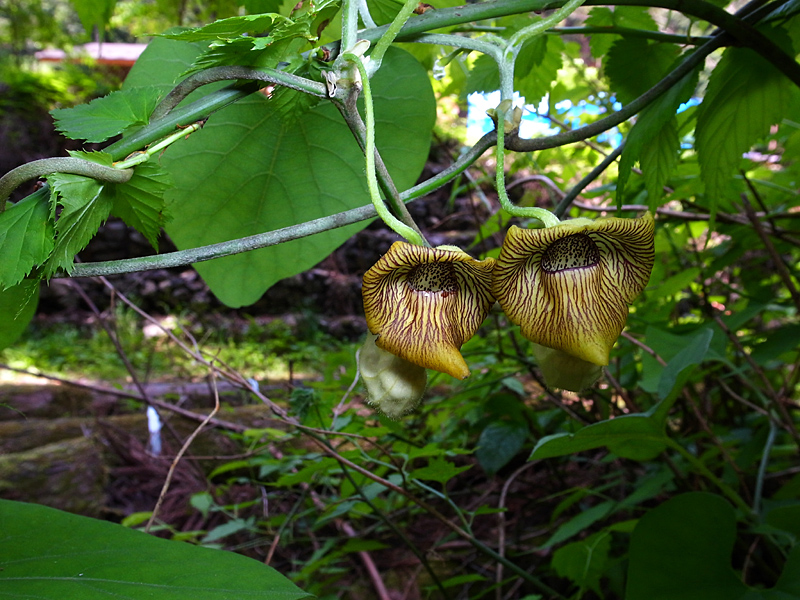 d0054625_22182429.jpg