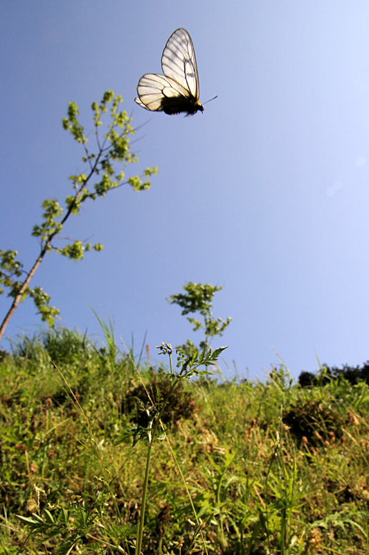 d0054625_2220137.jpg