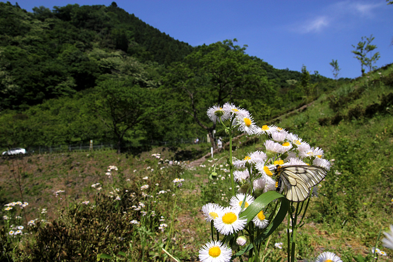 d0054625_2222874.jpg