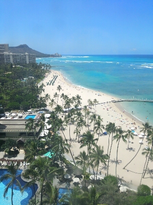 ハワイより帰国しました。_c0096628_19154981.jpg