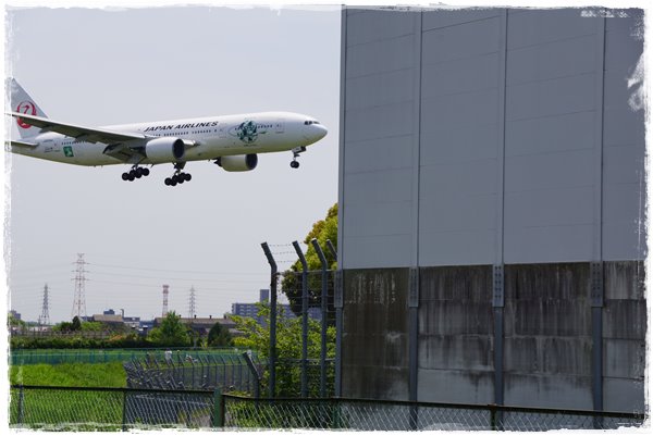 飛行機Photoイベント～♪at伊丹空港_e0255037_15111461.jpg