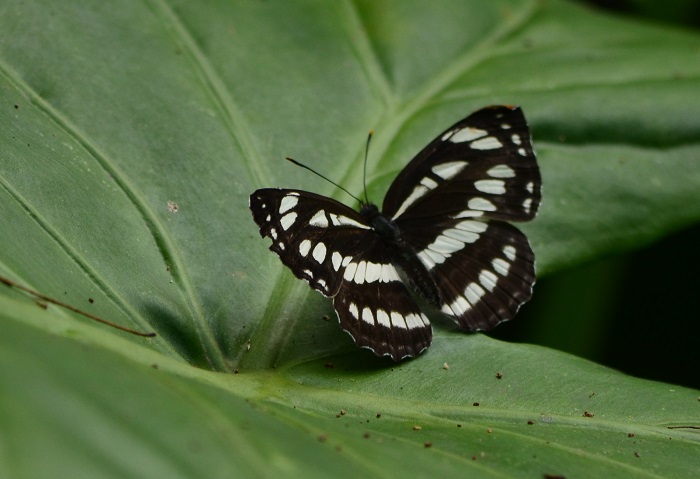 b0288942_15213382.jpg