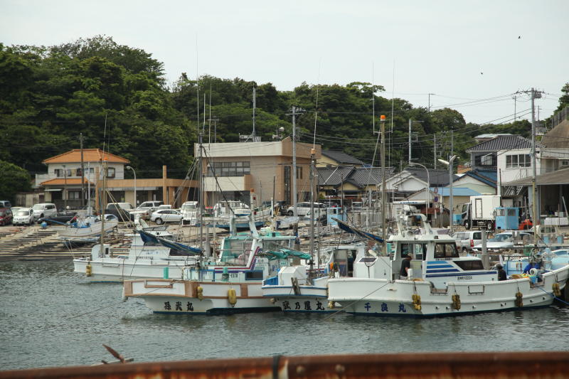 三浦半島 2013初夏_b0168647_2314534.jpg