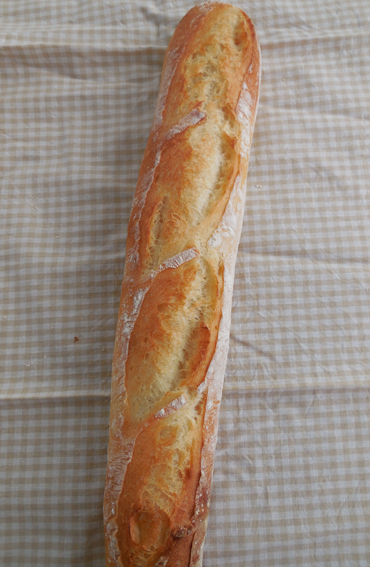 カメリアでフランスパン♪_a0175348_10421198.jpg