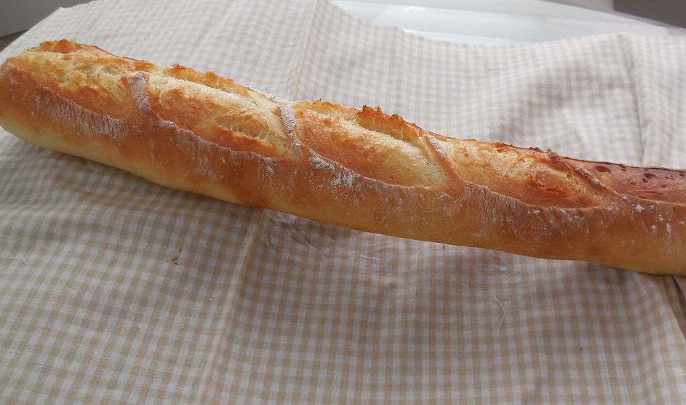 カメリアでフランスパン♪_a0175348_10421839.jpg