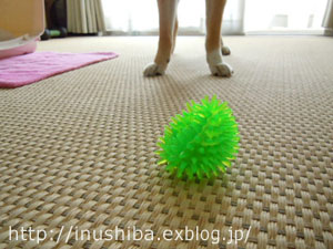 壊れたおもちゃも捨てられない Yamatoのひとりごと 壊れたおもちゃも捨てられない Yamatoのひとりごと