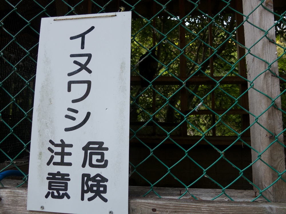 a0098864_22598.jpg