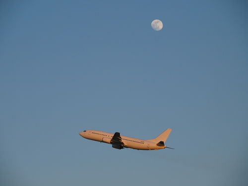 b0258965_238529.jpg