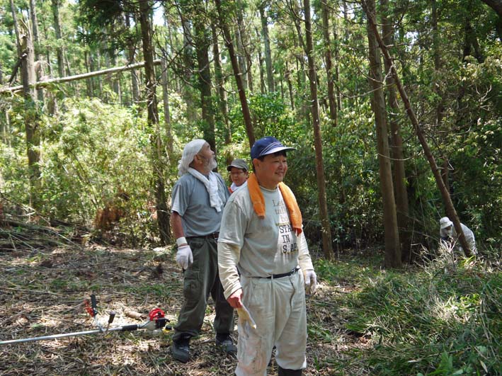 アズマネザサの “厚い壁”貫通：５・１８六国見山定例手入れ_c0014967_610443.jpg