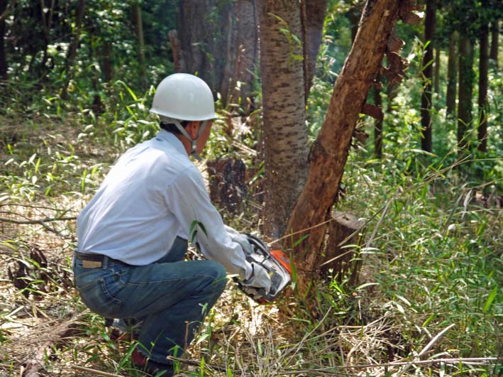 アズマネザサの “厚い壁”貫通：５・１８六国見山定例手入れ_c0014967_692052.jpg