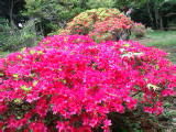 ハイキング_b0219170_15553.jpg