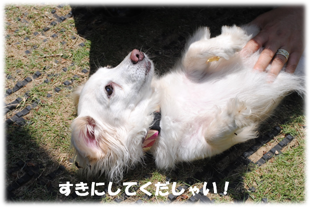 b0242873_22342031.png