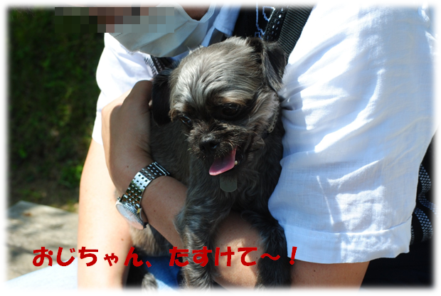 b0242873_22355571.png