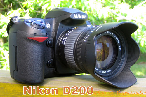 Nikon D200の描写 : とことん写真 Nikon D200の描写 : とことん写真