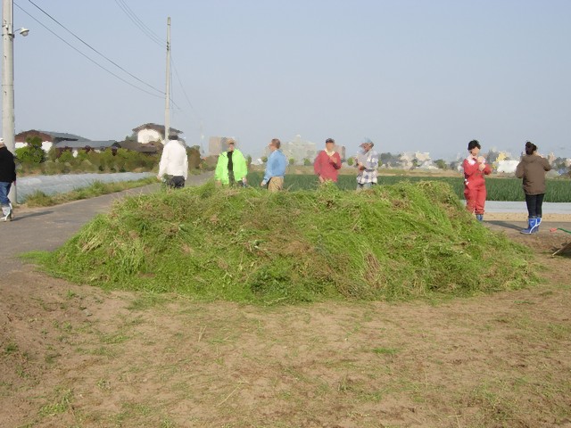 5/14 ソーシャルファーム柳生農地の除草作業_b0245781_1594590.jpg