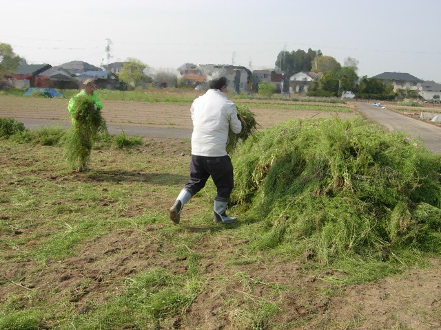 5/14 ソーシャルファーム柳生農地の除草作業_b0245781_1594713.jpg