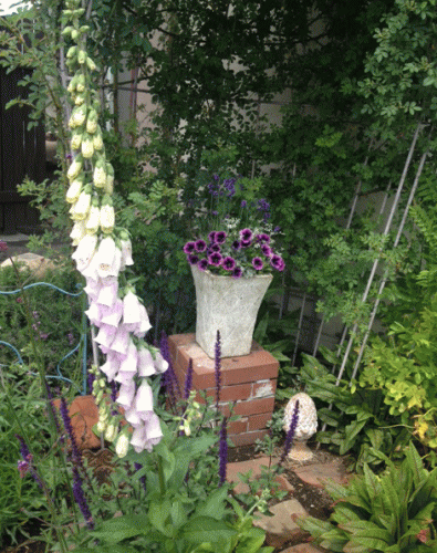 c0245883_2040388.gif