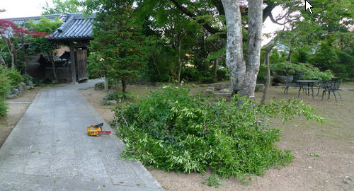 b0029488_23513855.jpg
