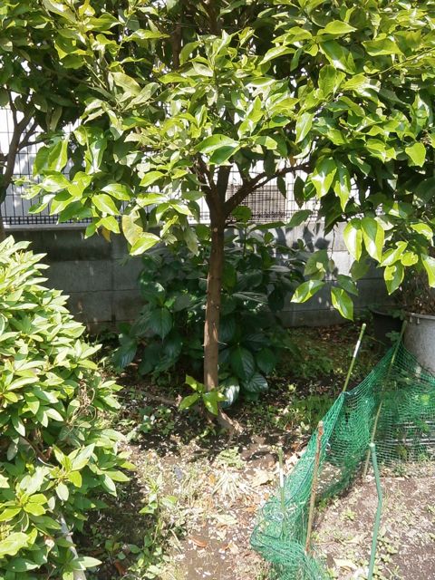 f0130894_2210268.jpg