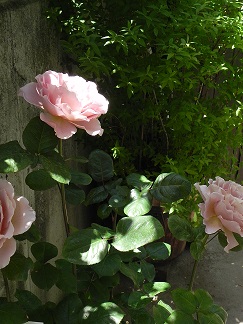 c0152002_12043.jpg