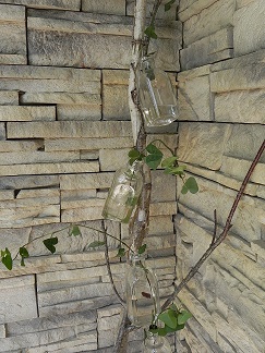 c0152002_1225325.jpg
