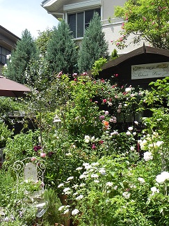 c0152002_1275078.jpg