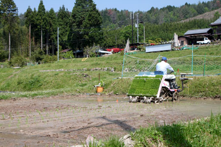 氷室の棚田_e0048413_214586.jpg