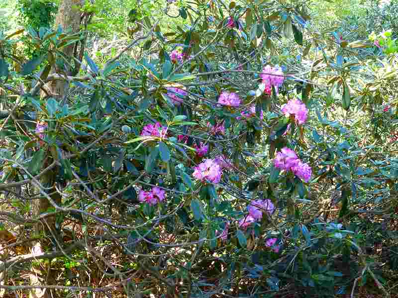 f0182513_02561.jpg