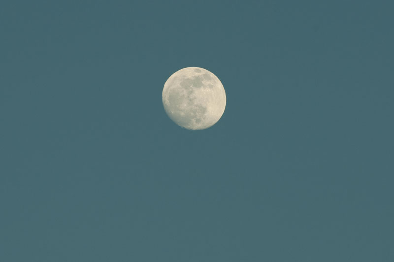 a0278914_4371733.jpg