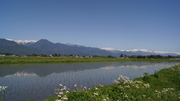 安曇野水田水鏡_f0233414_22161110.jpg