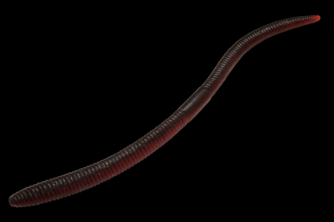 a0153216_23404280.png