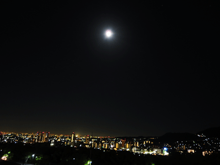 d0263216_2322185.gif