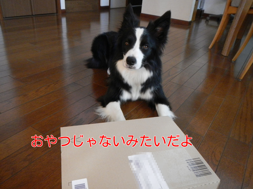 a0232619_1717416.png