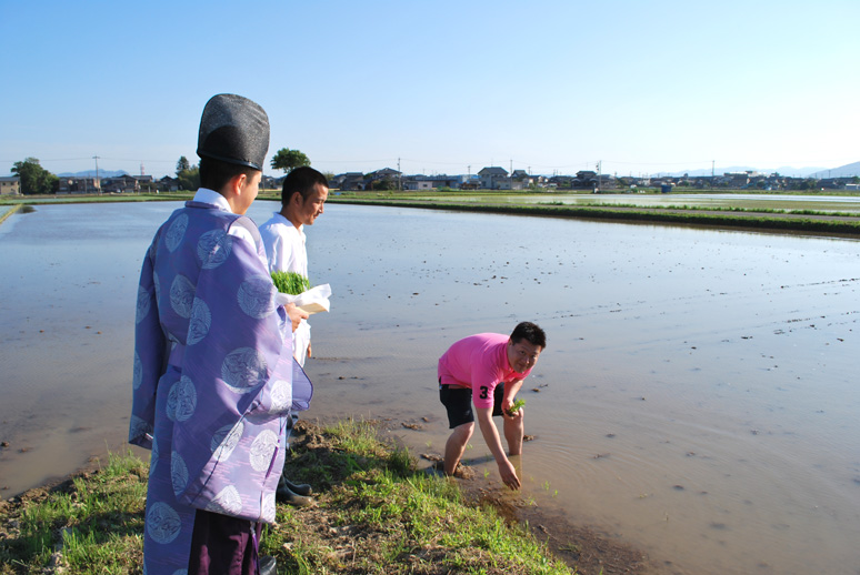 大丈夫米 御田植祭_f0067122_15512611.jpg