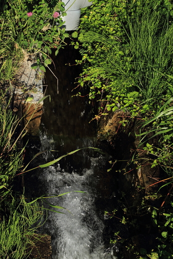 e0311229_0532419.jpg